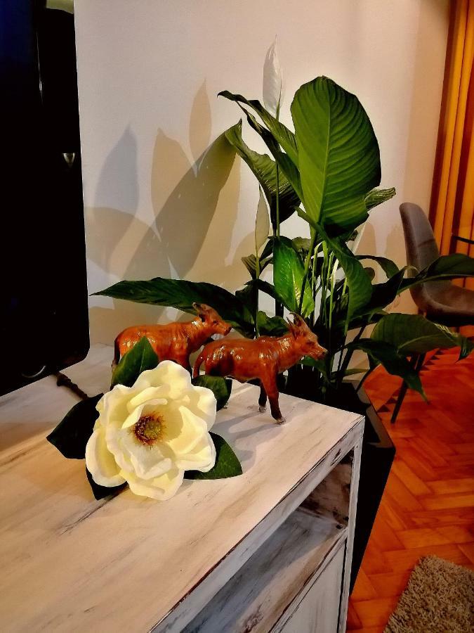 The Sunset Lisbon Flat Apartment Bagian luar foto